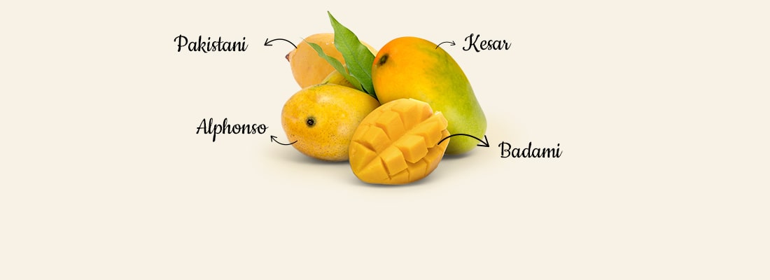 freshmangos