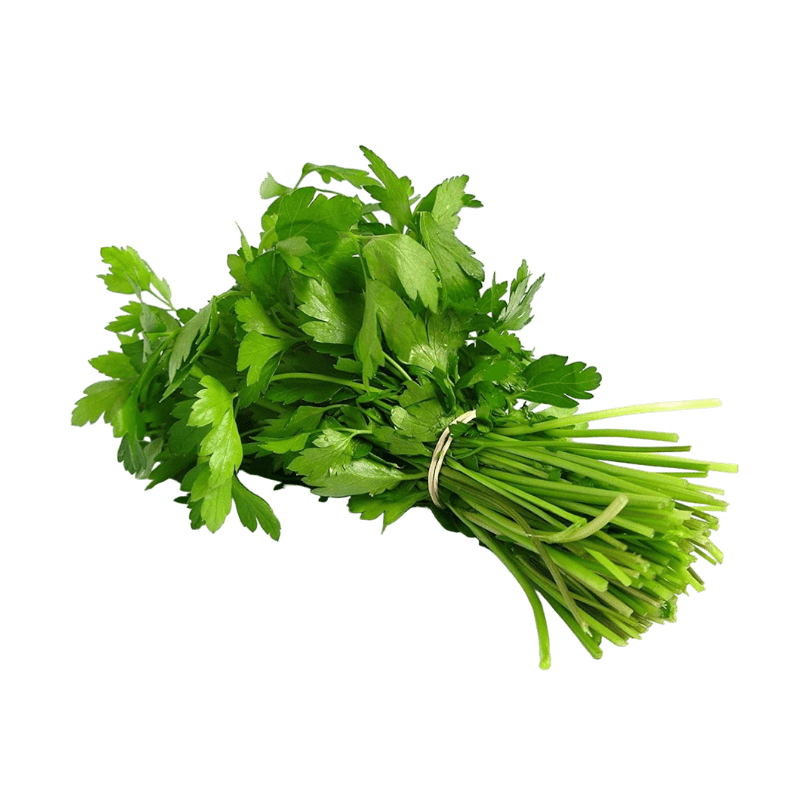 Jamoona Fresh - 1 Bunch Fresh Dhaniya (ca. 40g to 60g) (Coriander leaves)