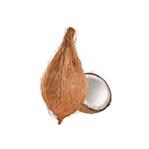 Jamoona Fresh - 1 Piece Fresh Coconut (ca. 350g and 450g) (for Pooja)