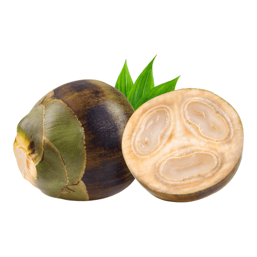 Jamoona Fresh - Indian Palm Fruit 500 to 600g (Taad Gola / Nungu)