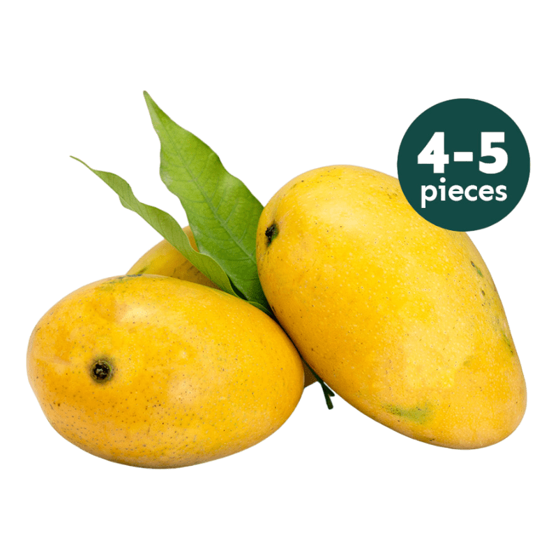 SAISONENDE - 4 bis 5 Badami Mango (ZURÜCK IN 2027)
