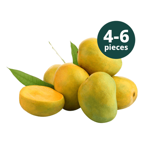 SEASON ENDED - 4 to 6 Fresh Alphonso Mango (BACK IN 2027)
