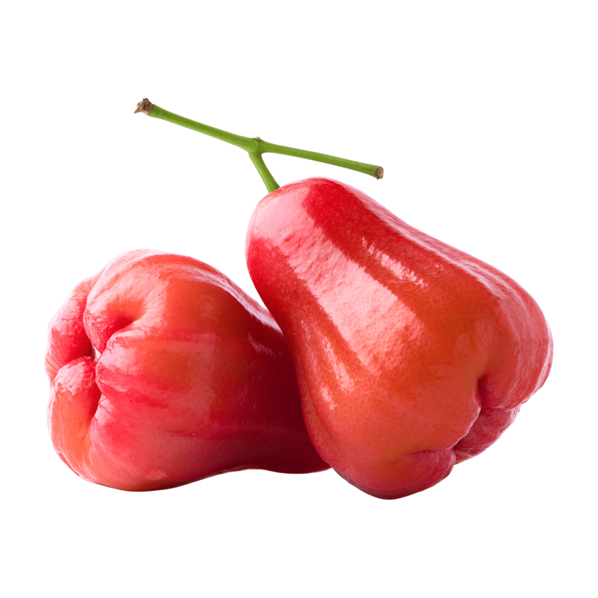 Jamoona Fresh - 500g Frischer Safed Jamrul (Apfel Rose)