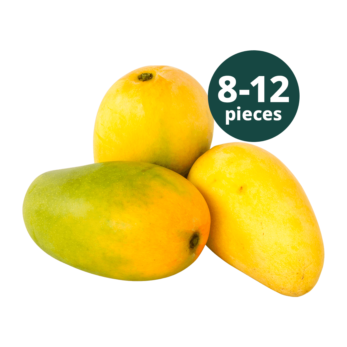 SEASON ENDED - 8 to 12 Fresh Kesar Mango (BACK IN 2027)