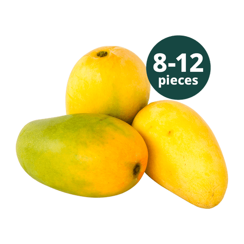 SEASON ENDED - 8 to 12 Fresh Kesar Mango (BACK IN 2027)