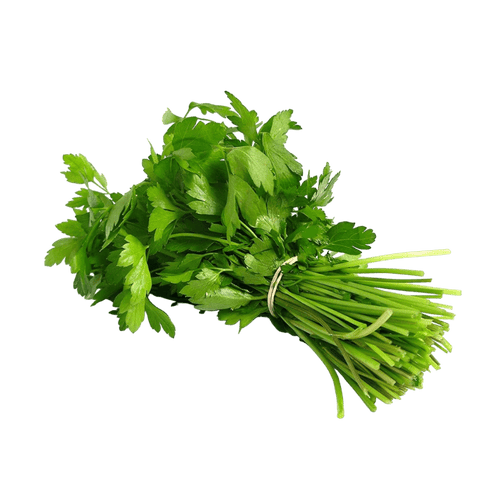 Jamoona Fresh - 1 Bunch Fresh Dhaniya (40g to 60g) (Coriander leaves)