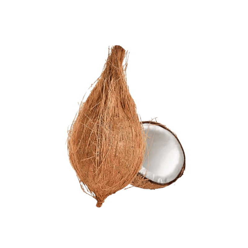 Jamoona Fresh - 1 Piece Fresh Coconut (for Pooja)