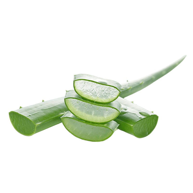 Jamoona Fresh - 1 piece Fresh Aloe Vera (Ghritkumari)