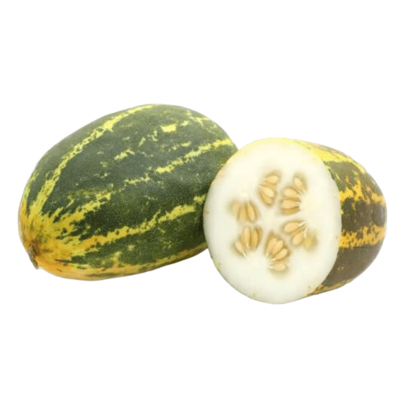 Jamoona Fresh - 500g Fresh Vellarikka (Indian Cucumber)