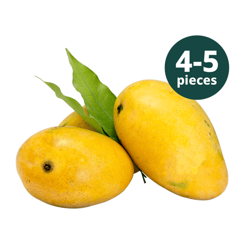 SEASON ENDED - 4 to 5 Fresh Badami Mango (BACK IN 2027)