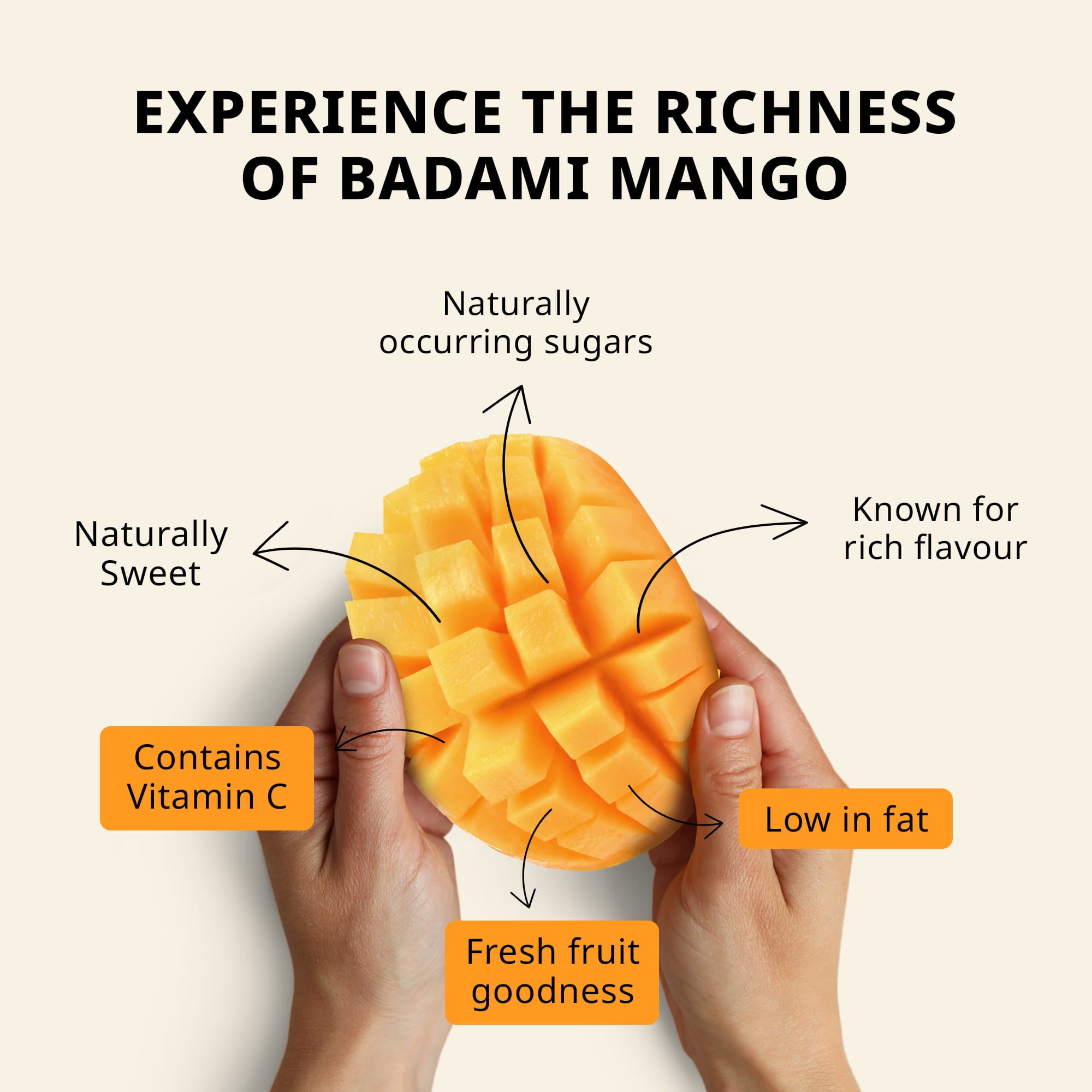 Jamoona Fresh - 4 to 5 Fresh Badami Mango (1.5 to 1.7kg)