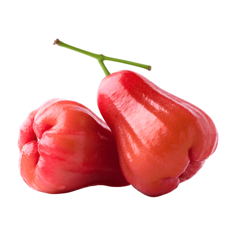 Jamoona Fresh - 500g Fresh Safed Jamrul (Apple Rose)