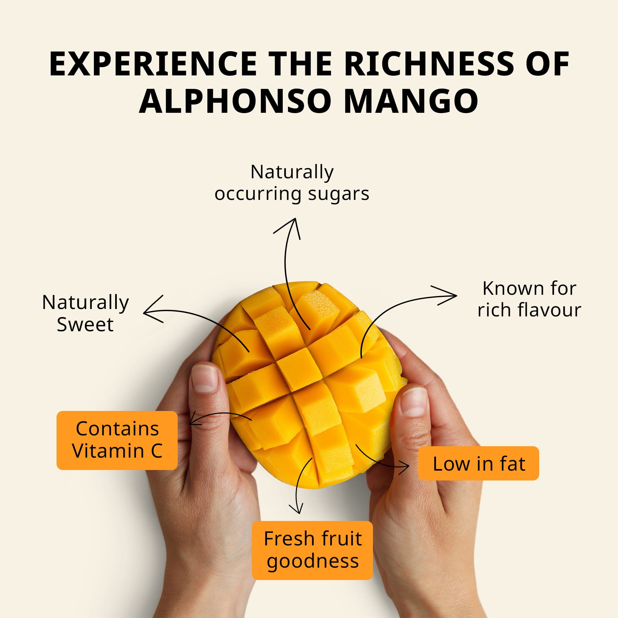 Jamoona Fresh - 6 Fresh Alphonso Mango (1.35 to 1.6kg)