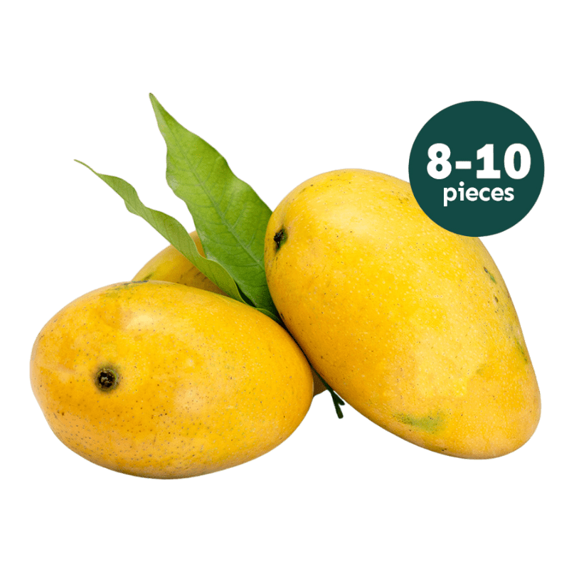SEASON ENDED - 8 to 10 Fresh Badami Mango (BACK IN 2027)